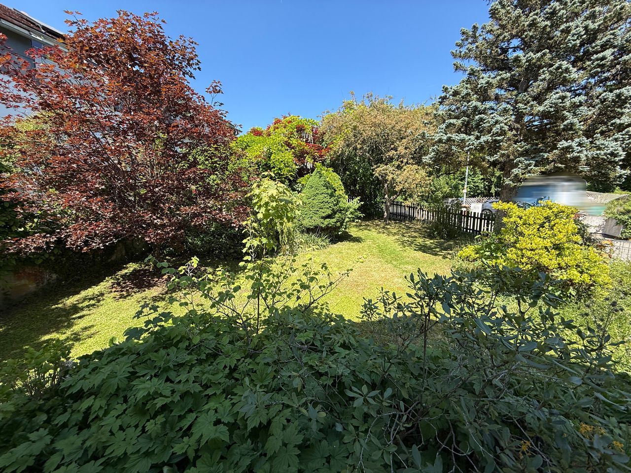 Blick in den Garten